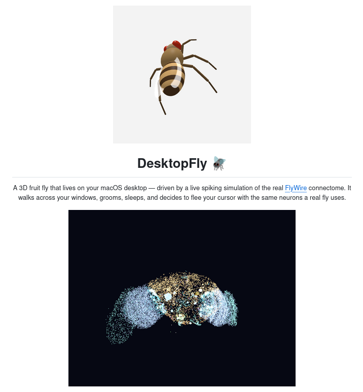 Представлен открытый проект DesktopFly — десктопный питомец для macOS в виде мухи на основе 668 нейронов мозга дрозофилы - 1